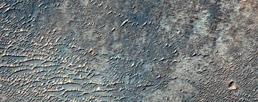 Light-Toned Layering along Plains South of Melas Chasma
