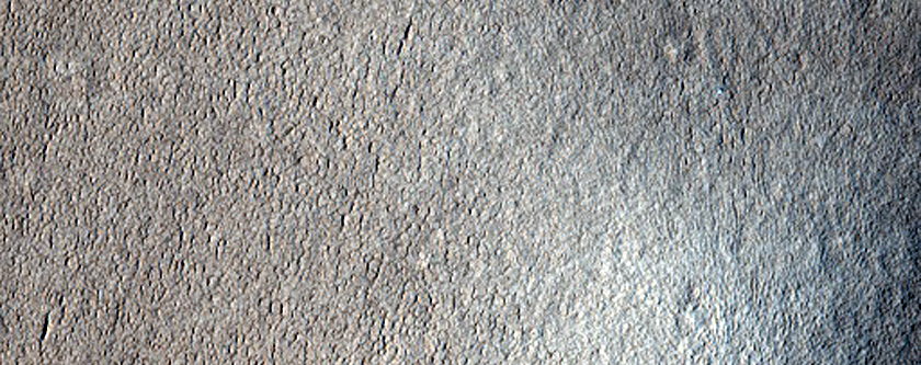 Knobby Surface in Arcadia Region