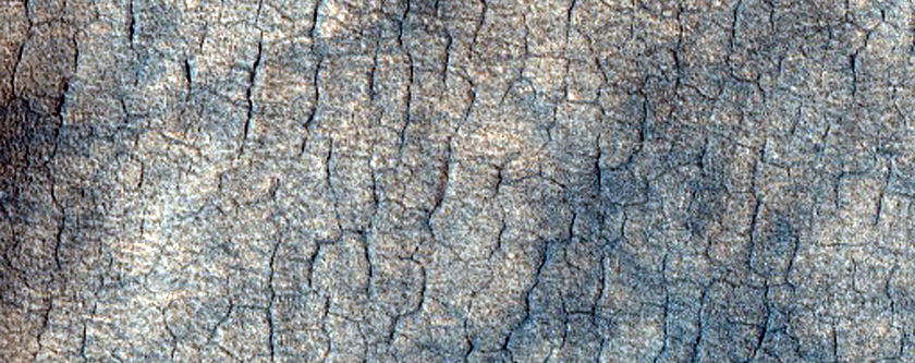 Polygons and Sublimation Structures in West Utopia Planitia