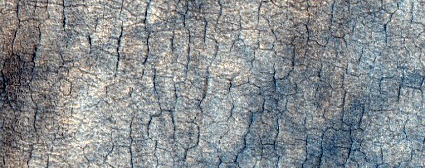 Polygons and Sublimation Structures in West Utopia Planitia