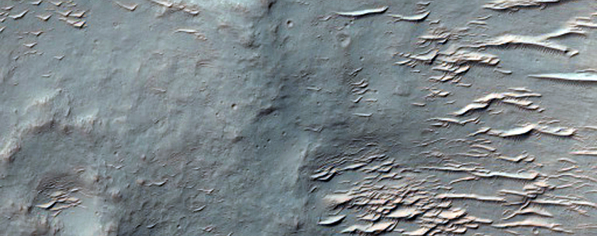 Isolated Gully at Intersection of Wrinkle Ridge and Crater Wall