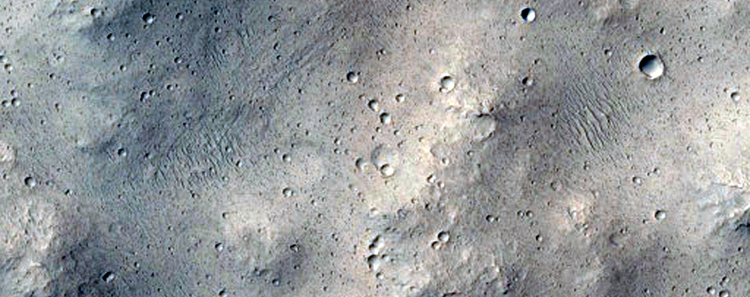 Tributary Mouth in Shalbatana Vallis