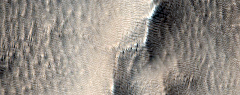 Abundant Linear Gullies in Terrains West of Arsia Mons