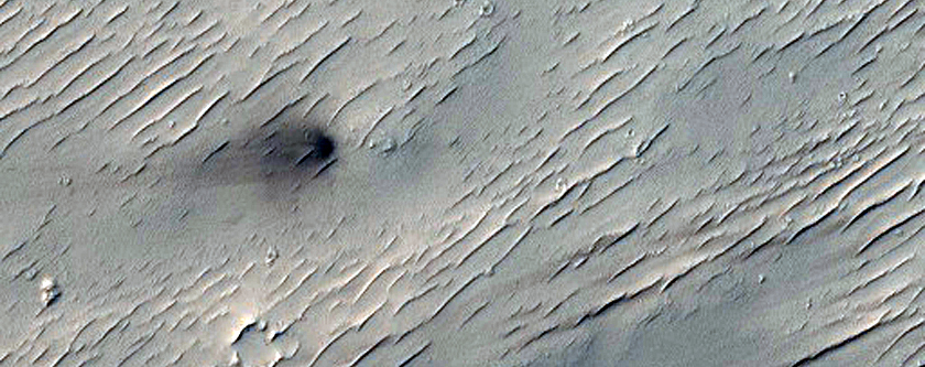 Candidate Fresh Impact Formed between March 2005 and May 2008