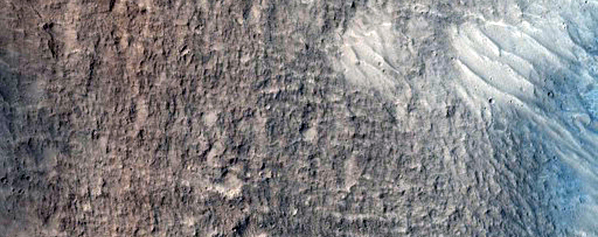 Floor of Crater in Amazonis Planitia