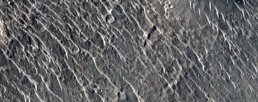 Cratered Terrain in Isidis Planitia
