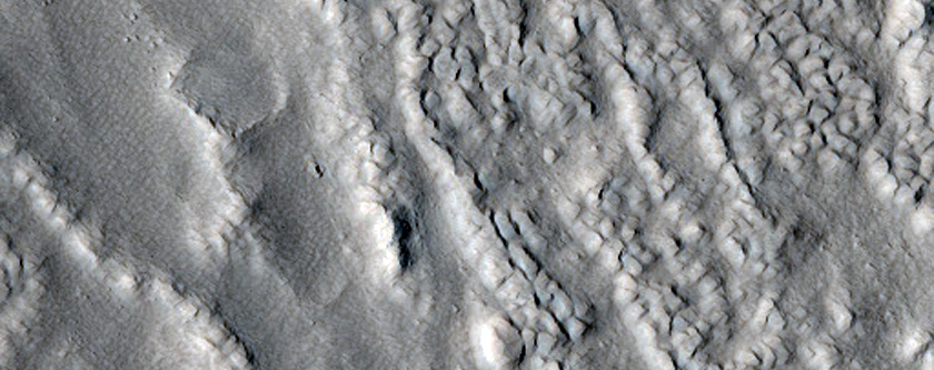 Lineated Valley Flows in Fretted Terrain