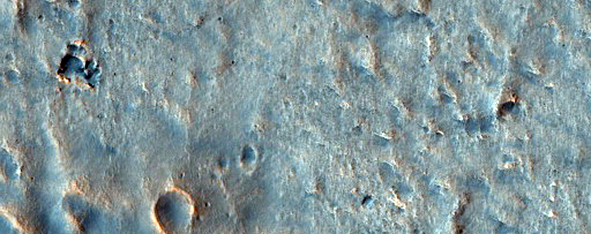 Clusters of Mounds at Acidalia Planitia