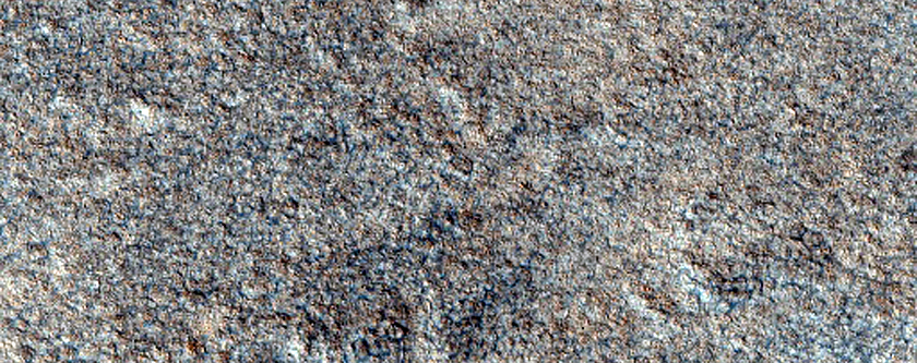 MRO-Phoenix Coordinated Observaion - Landing Site Photometry