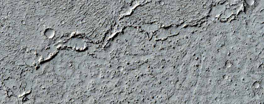 Diverse Lava Margins in Central Elysium Planitia