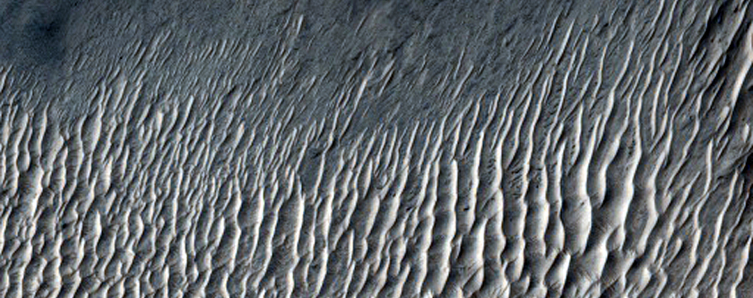 Sample Portion of the Hemispheric Dichotomy Boundary