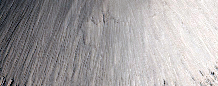 Small Fresh Crater in Southwestern Elysium Planitia