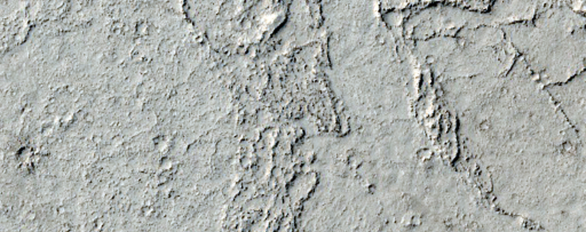 Diverse Lava Flows in South-Central Elysium Planitia