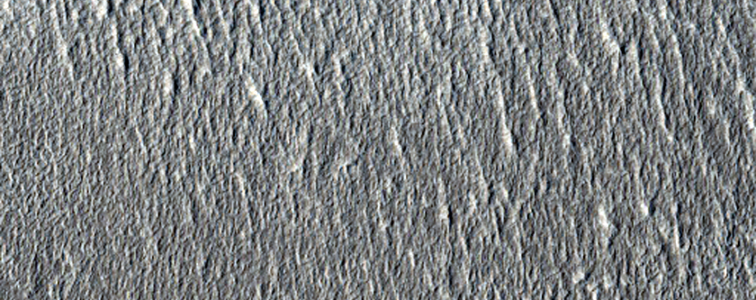 Debris Aprons in Eastern Erebus Montes