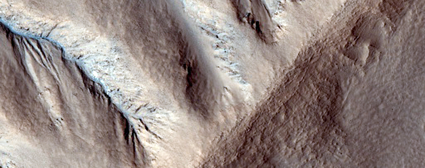 Gullies in North Mid-Latitude Crater