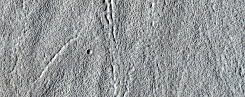 Patterned Ground