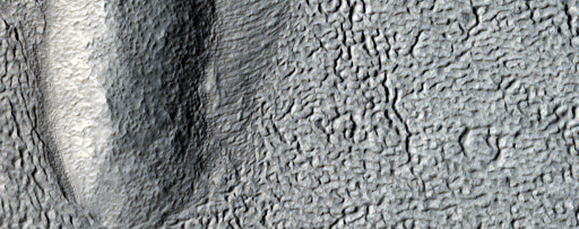 Possible Phyllosilicates in Mamers Valles Region