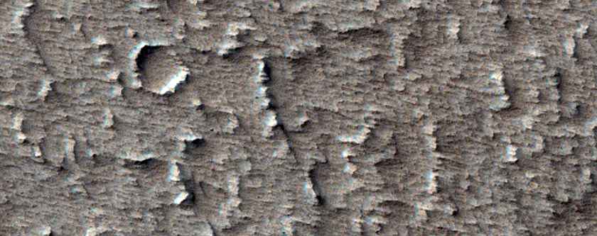 Flows on the Northeastern Flank of Arsia Mons
