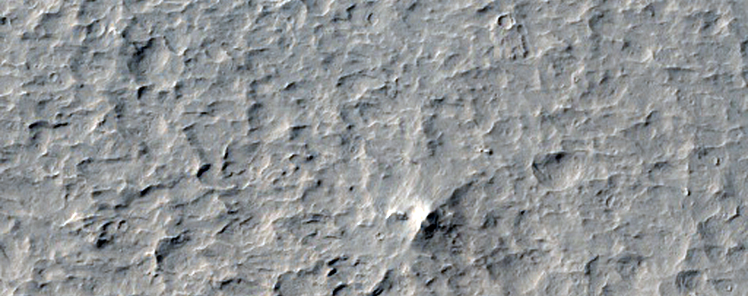 Lucus Planum