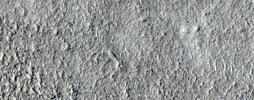 Sample Nilo Syrtis Dichotomy Boundary Scarp or Crater