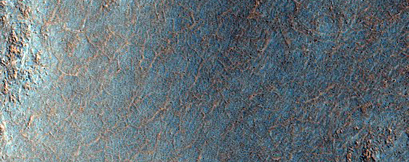 North Rim of Lomonosov Crater