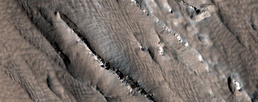 Gigas Fossae and Surrounding Terrain