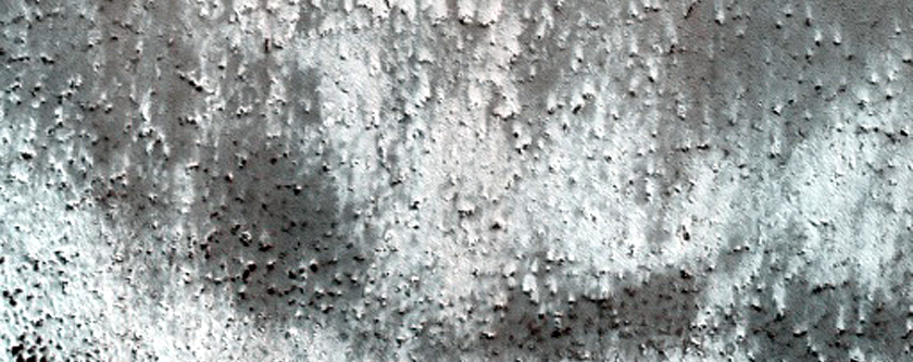 Sample Terrain at 81 Deg Latitude