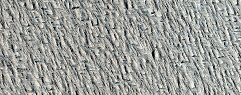 Sample Terrain Near Amazonis Mensa and Medusae Fossae