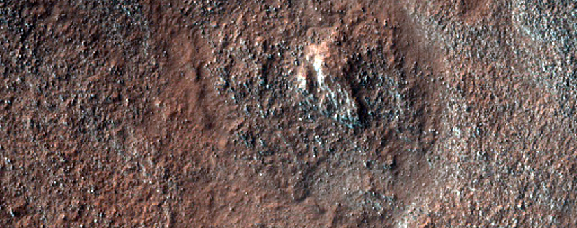 Sample of Circular Depression North of Hellas Planitia