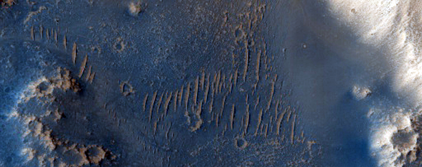 Bedrock Exposure on Crater Floor Near Granicus Valles