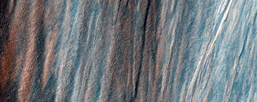 Sample of Exposed Bedrock in Ganges Chasma Wall