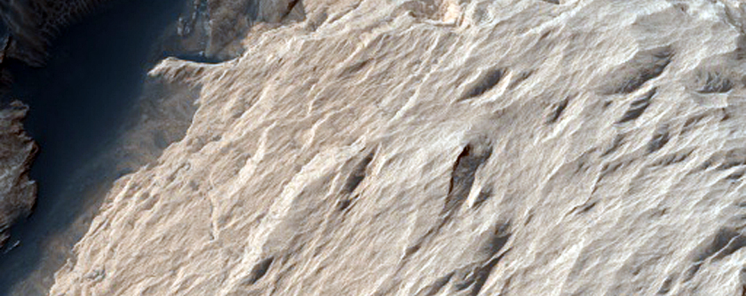 Layered Deposits in Ophir Chasma