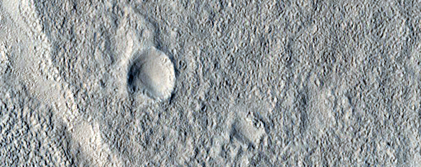 Possible Collapsed Pingos in Utopia Planitia