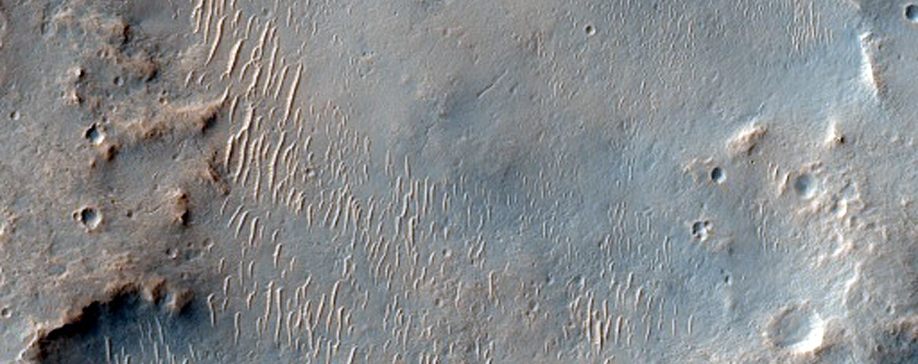 Characterize Surface Hazards and Science of Possible Msl Rover Landing Site