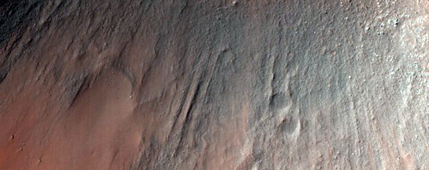 Sample of Clays in a Small Crater Near Ladon Valles