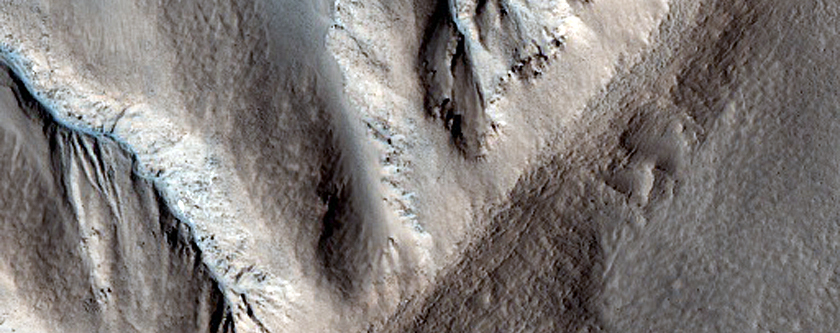 Gullies in North Mid Latitude Crater
