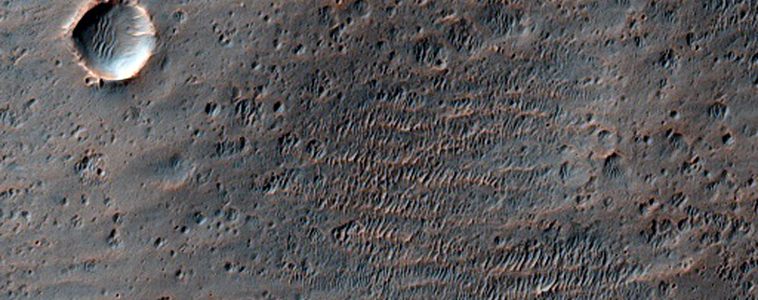 Sample of Crater Ejecta Near Cerberus Dorsa