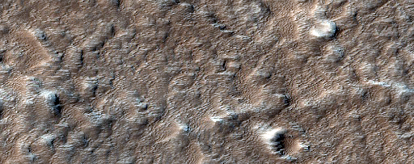 Sample of Olympus Mons
