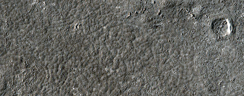 Western Elysium Planitia