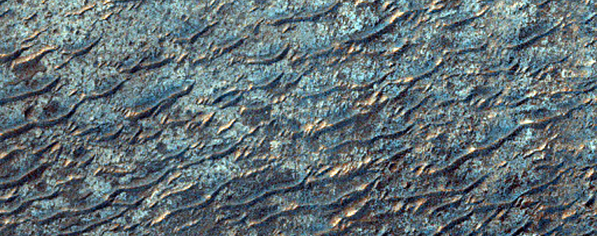 Sample of Pitted Rise with Semi-Concentric Ridge-Trough Forms