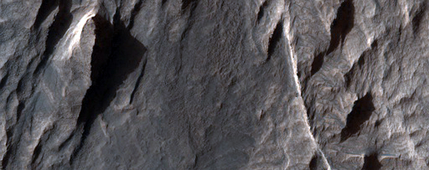 Exposure of Light-Toned Layering along Wallrock in Coprates Chasma