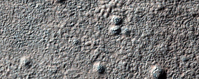 Sample of Cratered Terrain East of Hale Crater