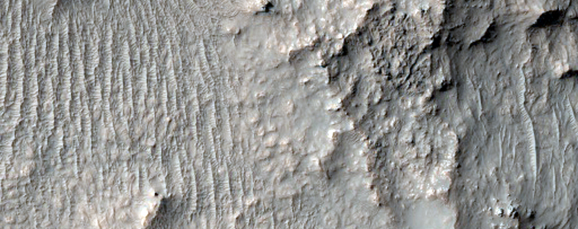 Light-Toned Patterned Ground at Low Latitude