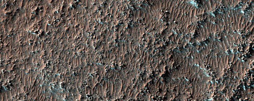 Monitoring of Dunes in Kaiser Crater