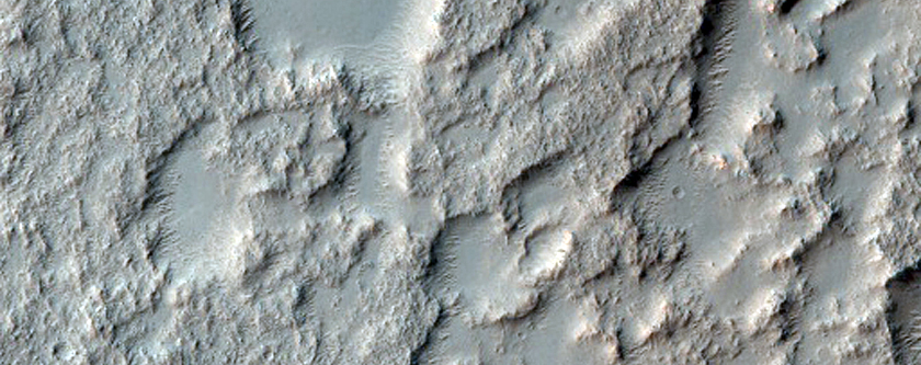 Clay-Bearing Crater Fill South of Daedalia Planum