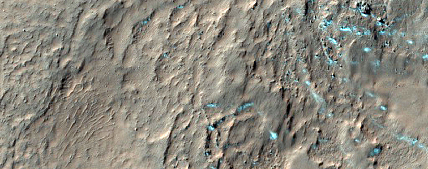 Gullies on Slopes of Mid-Latitude Crater