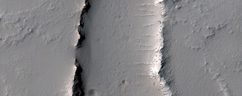 Shield Volcano with Leveed Channels in Noctis Fossae