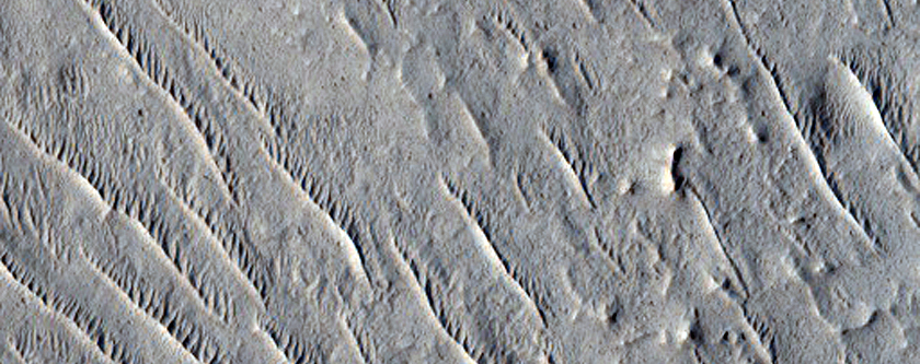 Diversity within Crater in Kasei Valles