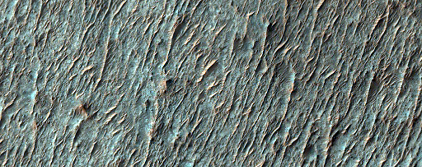 Light-Toned Deposits on Crater Floor with Polygonal Patterns