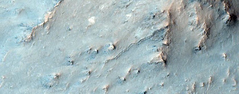 Large Central Uplift of a Large Impact Crater